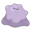 Ditto