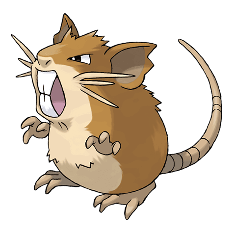 Raticate