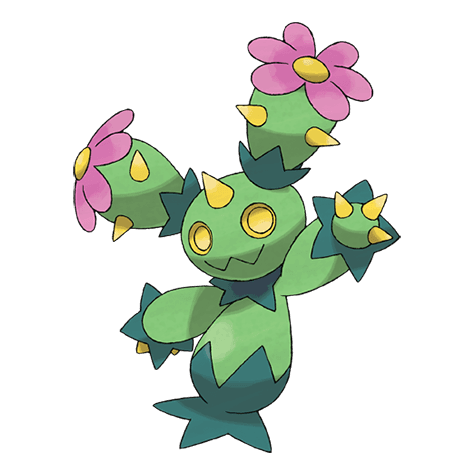 Maractus