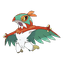 Hawlucha