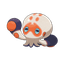 Clobbopus