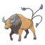 Tauros