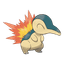 Cyndaquil