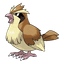 Pidgey