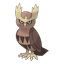 Noctowl