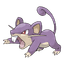 Rattata