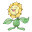 Sunflora