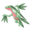 Grovyle