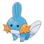 Mudkip
