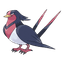Swellow