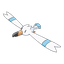 Wingull
