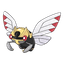 Ninjask