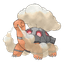 Torkoal