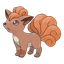 Vulpix