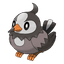 Starly