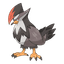 Staraptor