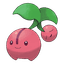 Cherubi