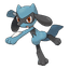 Riolu
