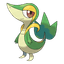 Snivy