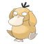 Psyduck