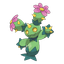 Maractus