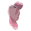 Alomomola