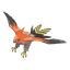 Talonflame