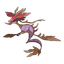 Dragalge