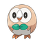 Rowlet