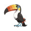 Toucannon
