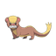 Yungoos