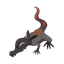 Salandit
