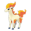 Ponyta