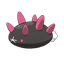 Pyukumuku