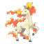 Rapidash