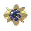 Cosmoem