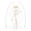Pheromosa