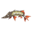 Barraskewda