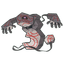 Runerigus