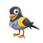 Wattrel