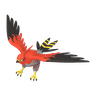 Talonflame