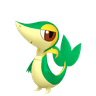 Snivy