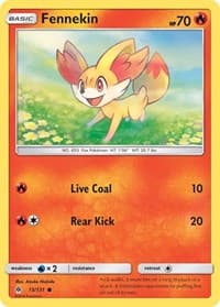 Fennekin (15)