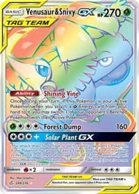 Venusaur and Snivy GX Secret