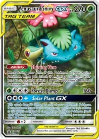 Venusaur and Snivy GX SM229