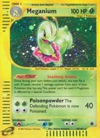 Meganium 18